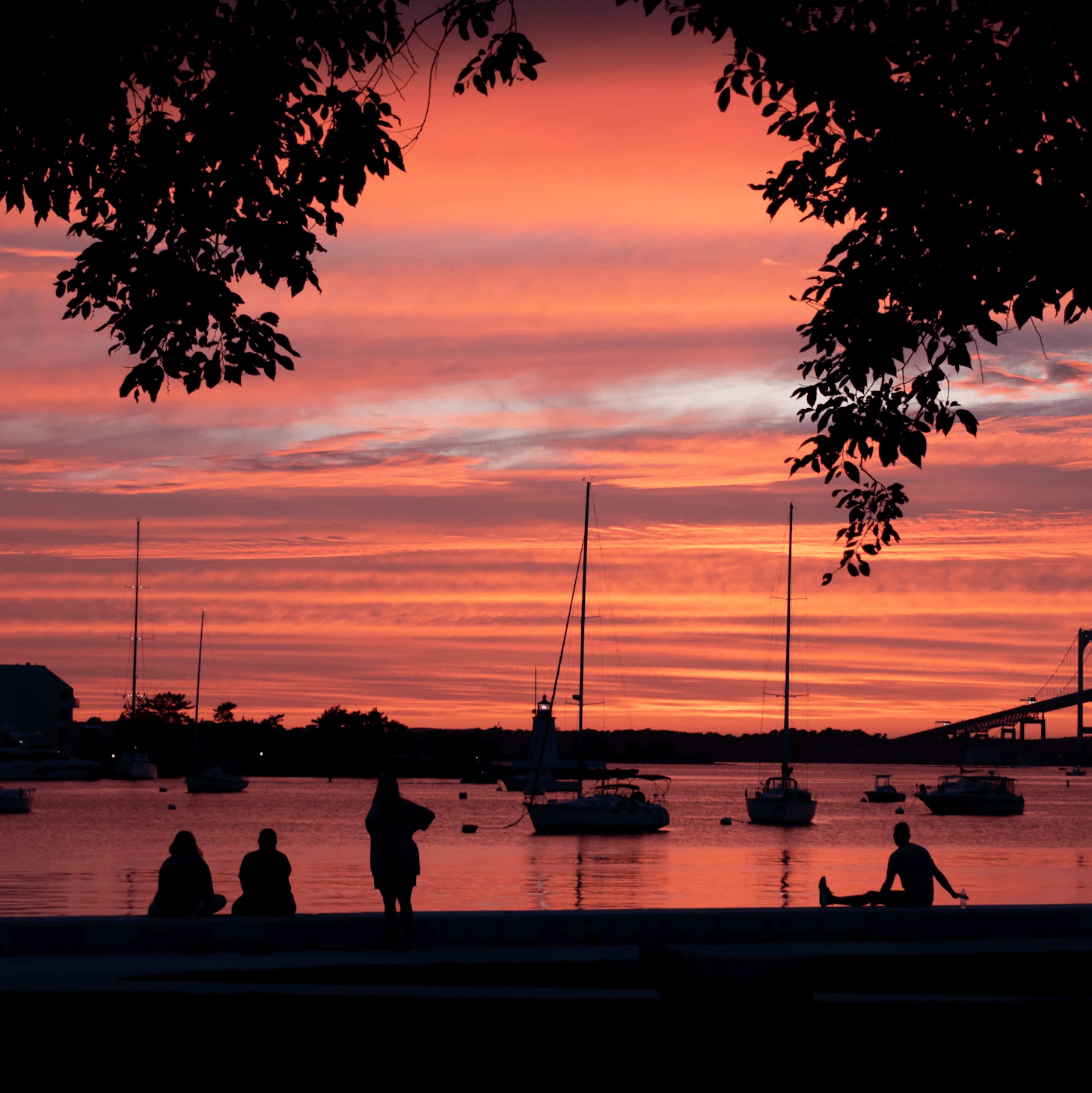 sailboats at sunset